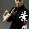 Ip Man (Ip Man 3) image 4