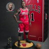 Derrick Rose (Basketball) image 2