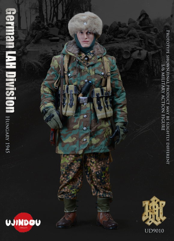 WWII German LAH Division Hungary 1945 image 2