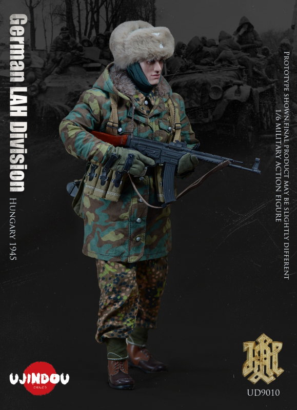 WWII German LAH Division Hungary 1945 image 4