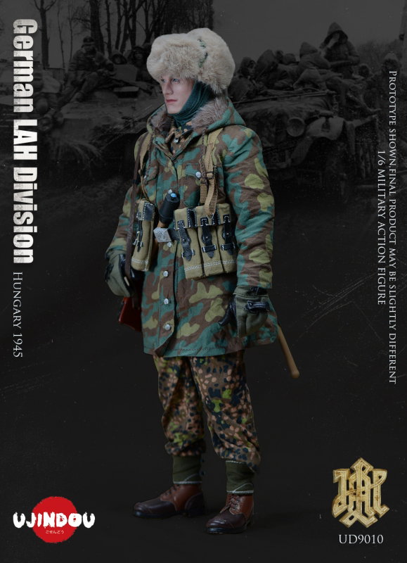 WWII German LAH Division Hungary 1945 image 5