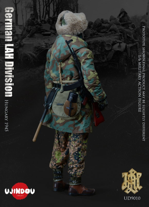 WWII German LAH Division Hungary 1945 image 6