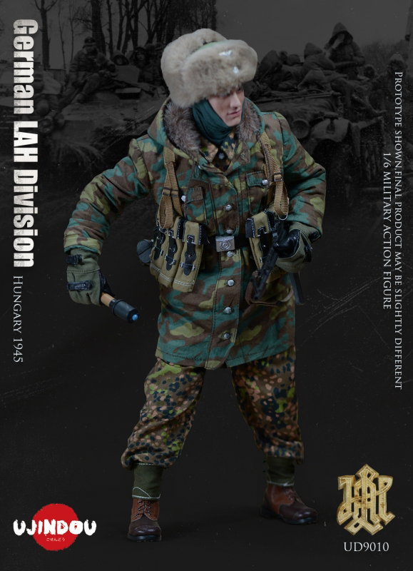 WWII German LAH Division Hungary 1945 image 7