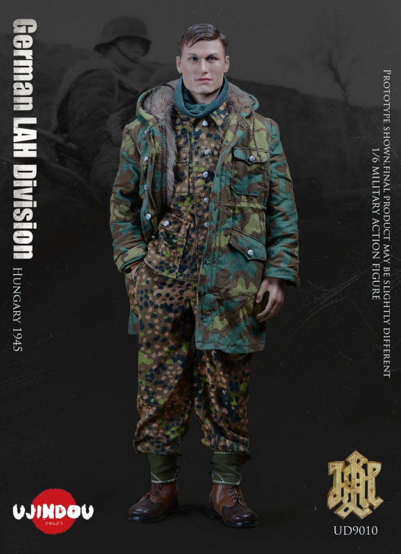 WWII German LAH Division Hungary 1945 image 8