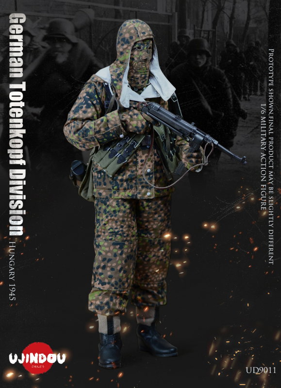 WWII German Totenkopf Division Hungary 1945 image 3