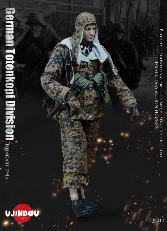 WWII German Totenkopf Division Hungary 1945 image 4