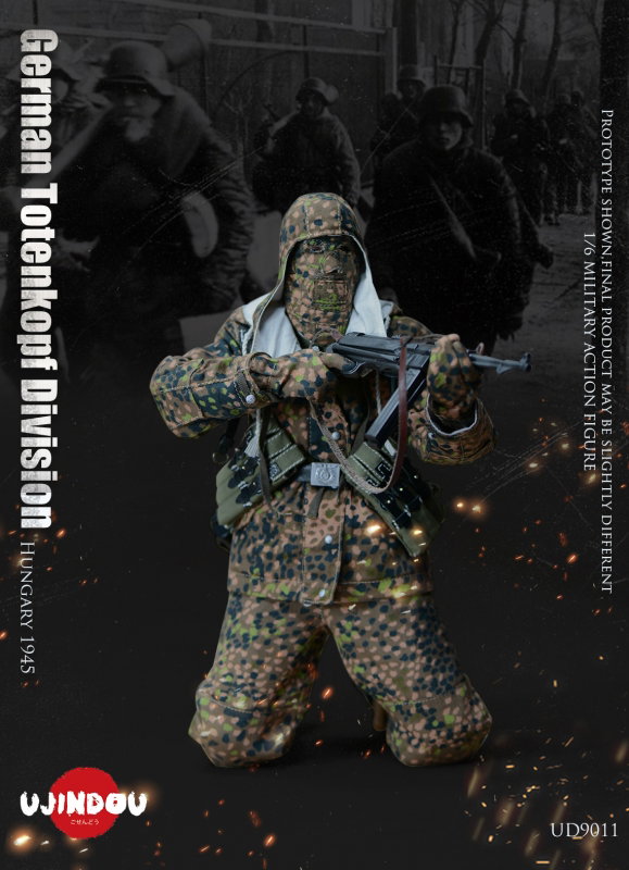 WWII German Totenkopf Division Hungary 1945 image 5
