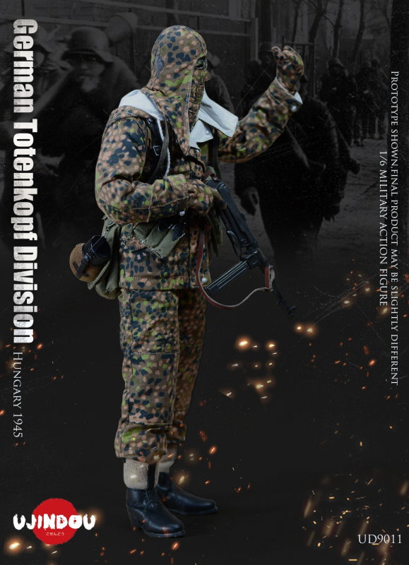 WWII German Totenkopf Division Hungary 1945 image 6
