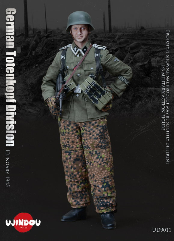 WWII German Totenkopf Division Hungary 1945 image 7
