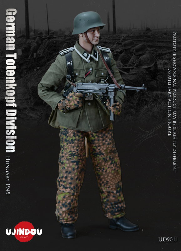 WWII German Totenkopf Division Hungary 1945 image 8
