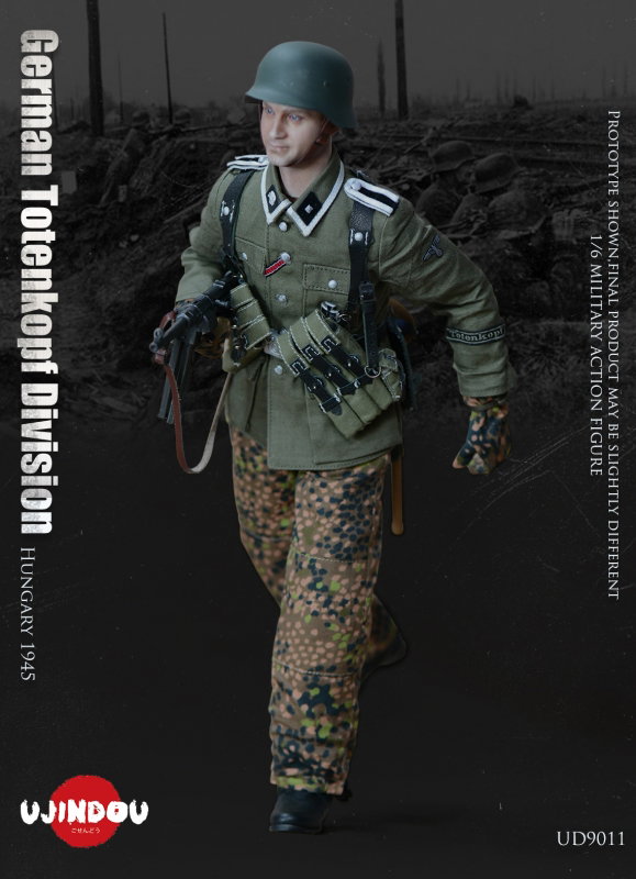 WWII German Totenkopf Division Hungary 1945 image 9