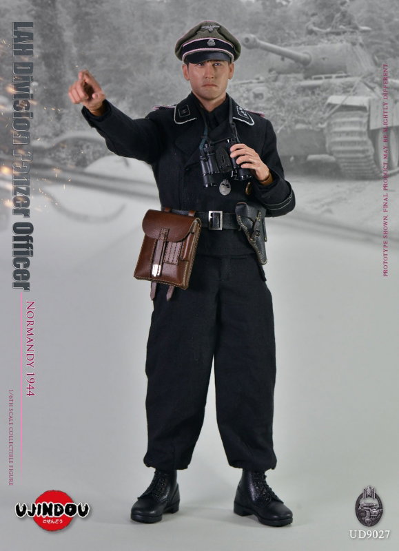 Normandy 1944 - LAH Division Panzer Officer image 5