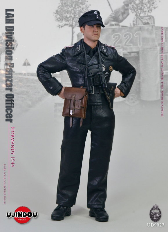 Normandy 1944 - LAH Division Panzer Officer image 6