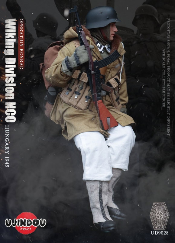 Hungary 1945 - Operation Konrad Wiking Division NCO image 5