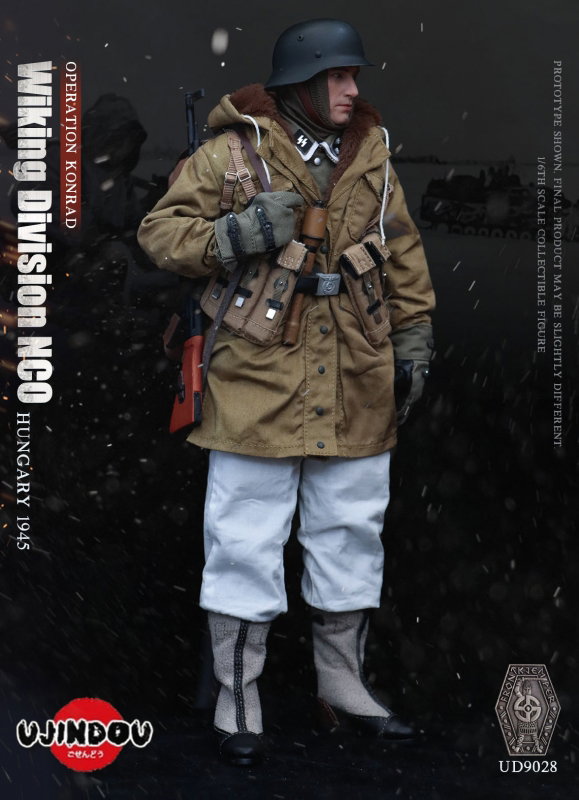 Hungary 1945 - Operation Konrad Wiking Division NCO image 6