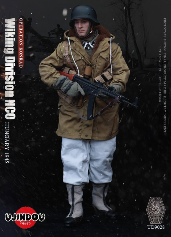 Hungary 1945 - Operation Konrad Wiking Division NCO image 7