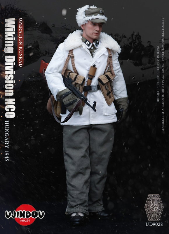 Hungary 1945 - Operation Konrad Wiking Division NCO image 8