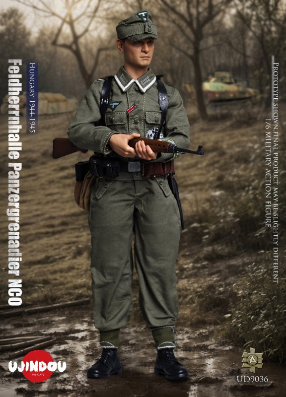 WWII Feldherrnhalle Panzergrenadier NCO 1944-1945 image 4