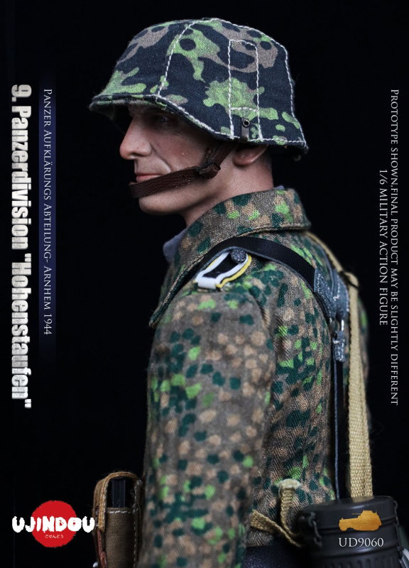 9. Panzerdivision image 10