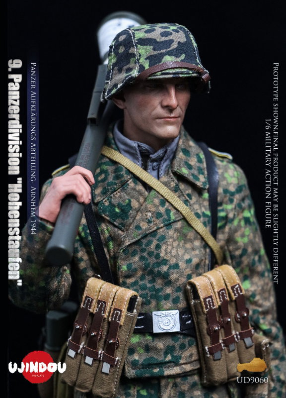 9. Panzerdivision image 3