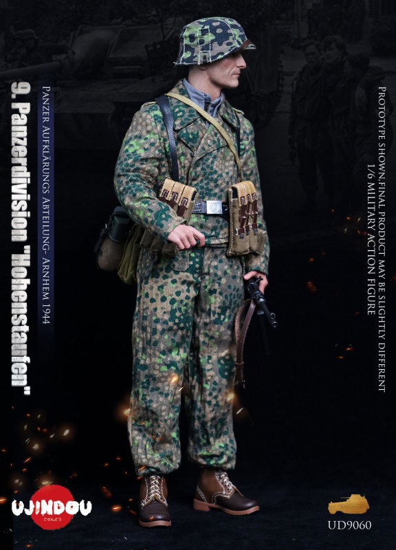 9. Panzerdivision image 8