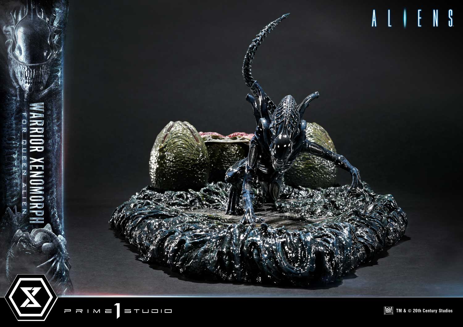 Aliens (Film) Warrior Xenomorph for Queen Alien image 5