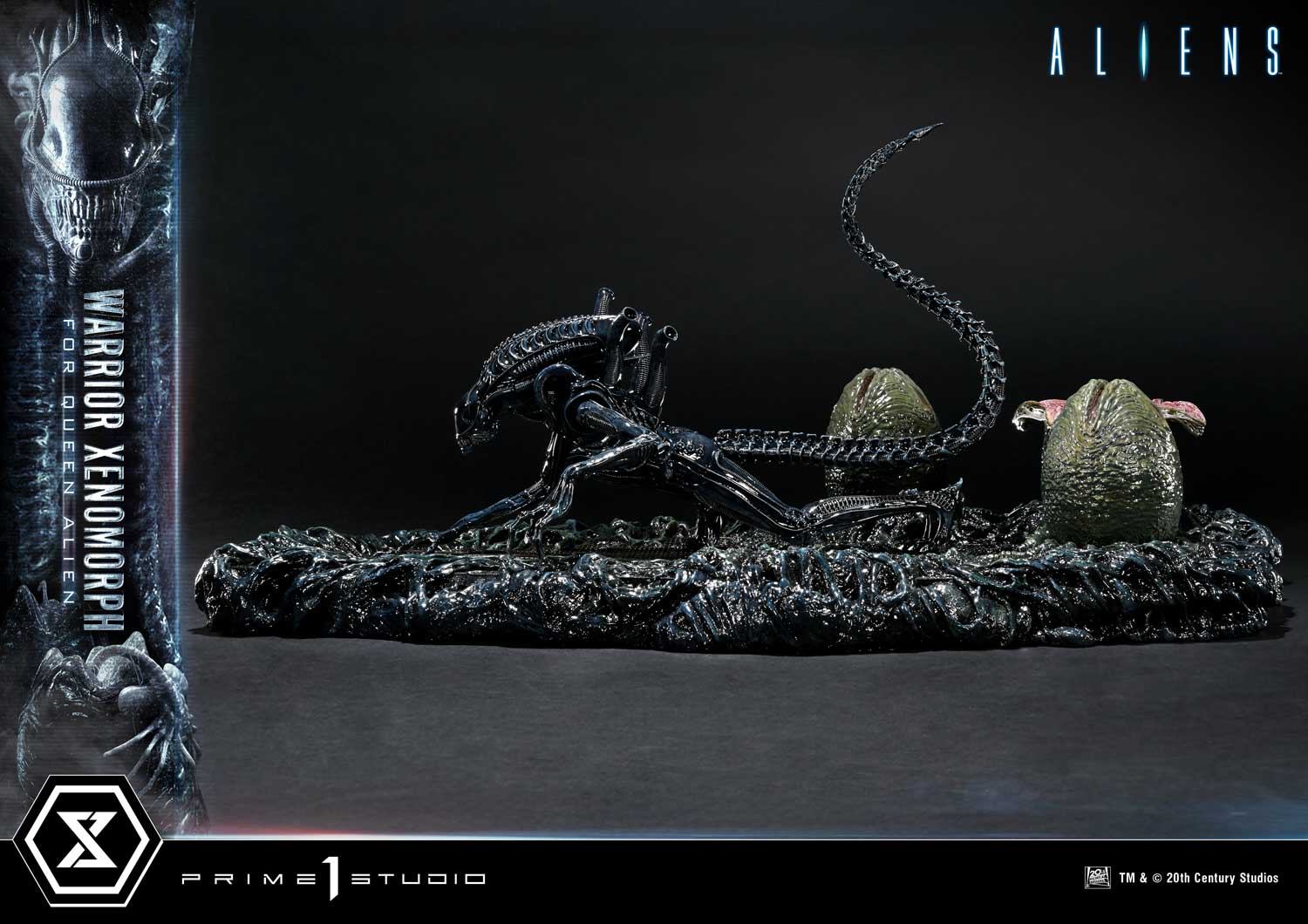 Aliens (Film) Warrior Xenomorph for Queen Alien image 6