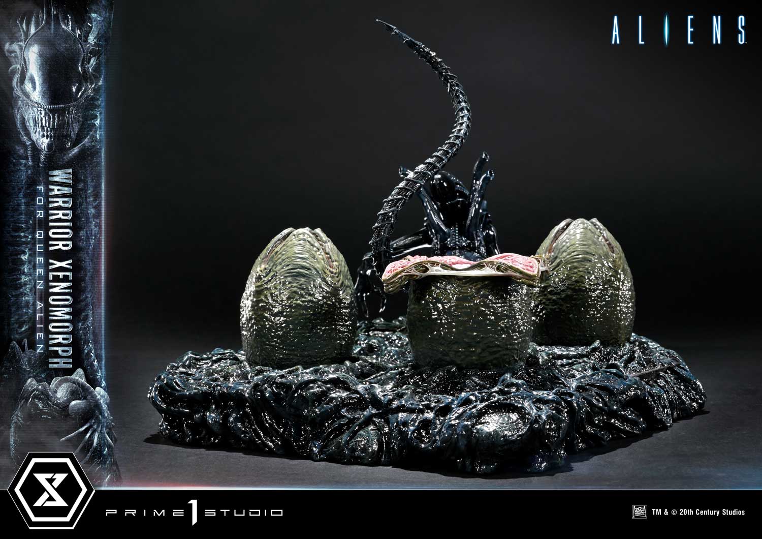 Aliens (Film) Warrior Xenomorph for Queen Alien image 7