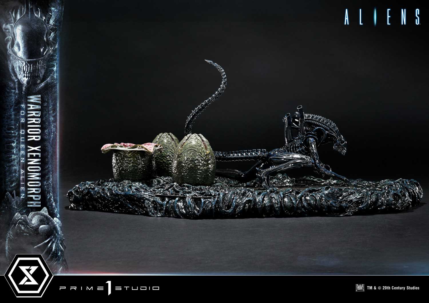 Aliens (Film) Warrior Xenomorph for Queen Alien image 8