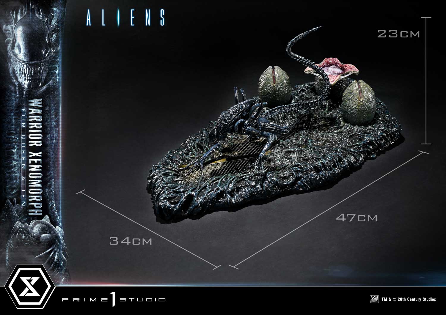 Aliens (Film) Warrior Xenomorph for Queen Alien image 9