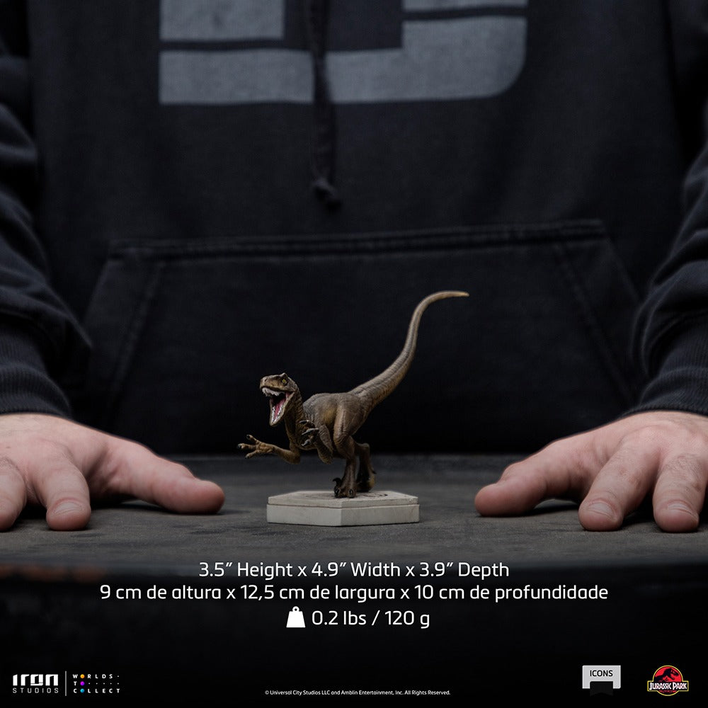 Velociraptor A - Jurassic Park image 7