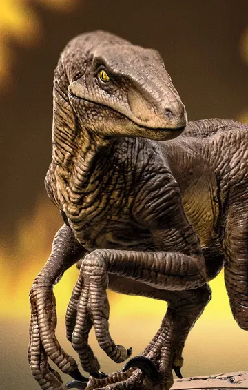 Velociraptor C Jurassic Park