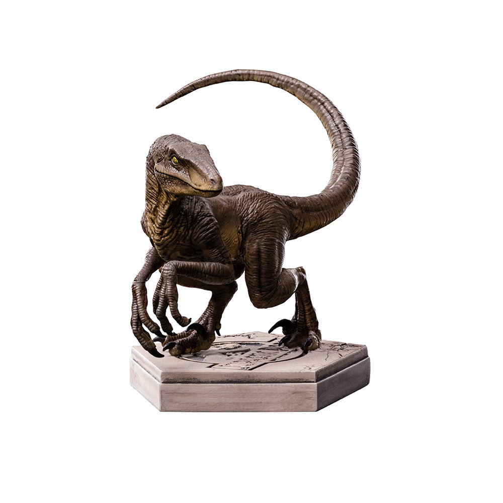 Velociraptor C Jurassic Park image 2
