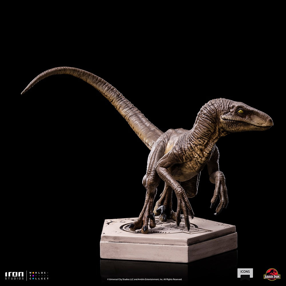 Velociraptor C Jurassic Park image 6