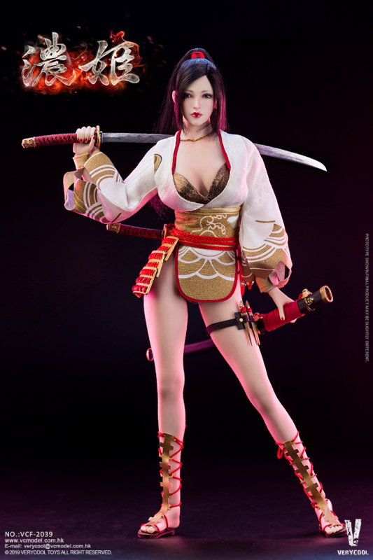 Ancient Japanese Heroine Series - Nohime image 2