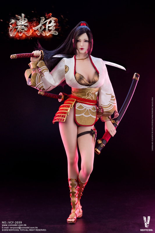 Ancient Japanese Heroine Series - Nohime image 3