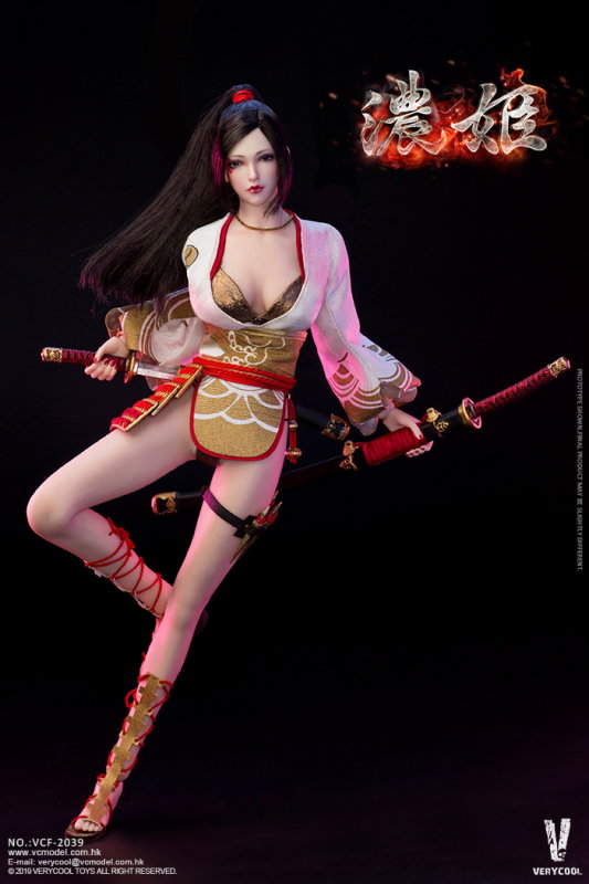 Ancient Japanese Heroine Series - Nohime image 6