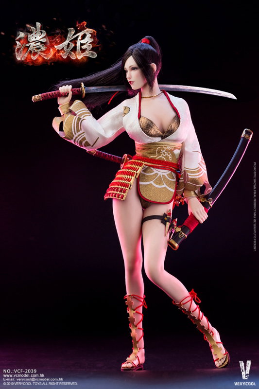 Ancient Japanese Heroine Series - Nohime image 7