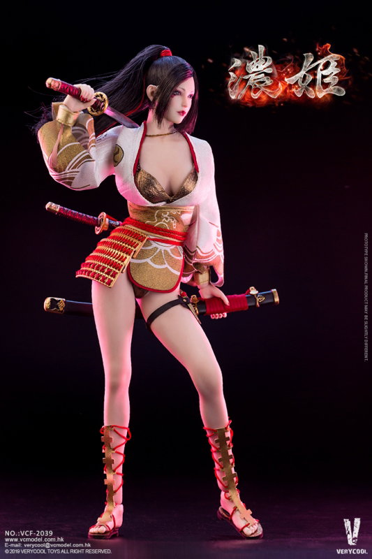 Ancient Japanese Heroine Series - Nohime image 8
