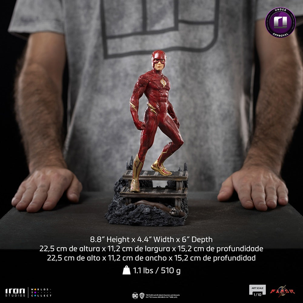 Flash - The Flash Movie image 7