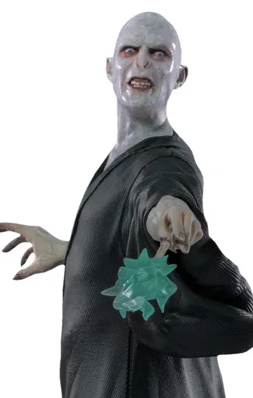 Voldemort - Harry Potter - BDS