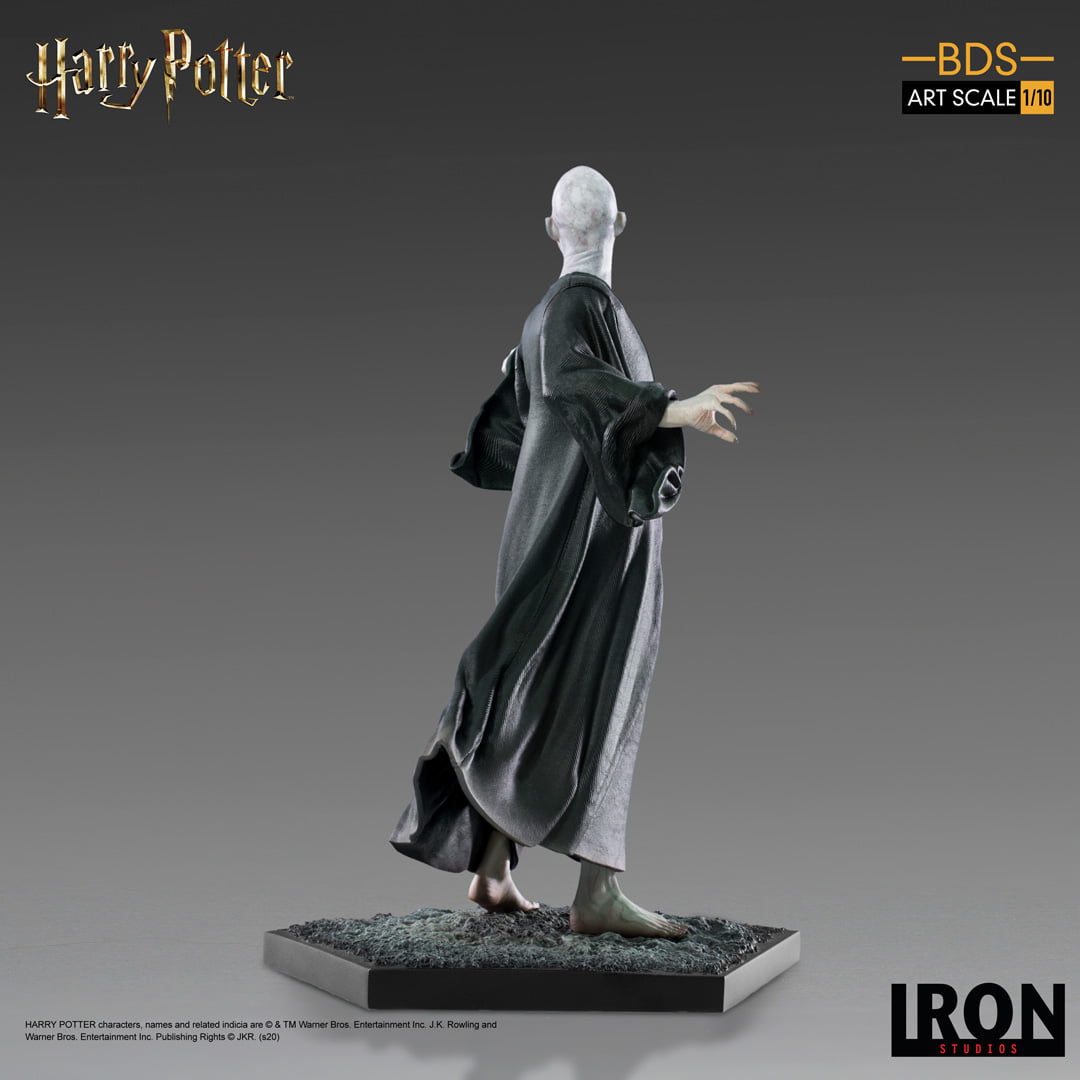 Voldemort - Harry Potter - BDS image 4