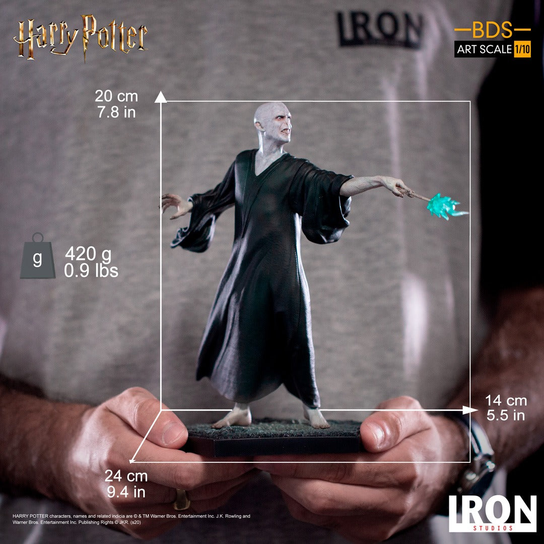 Voldemort - Harry Potter - BDS image 5