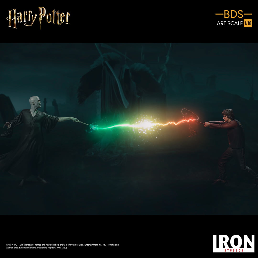 Voldemort - Harry Potter - BDS image 7