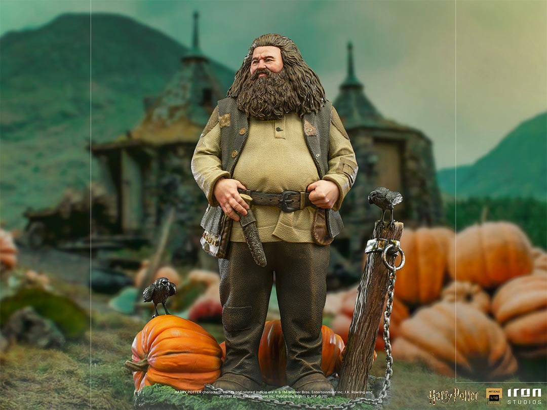Hagrid - Harry Potter image 2