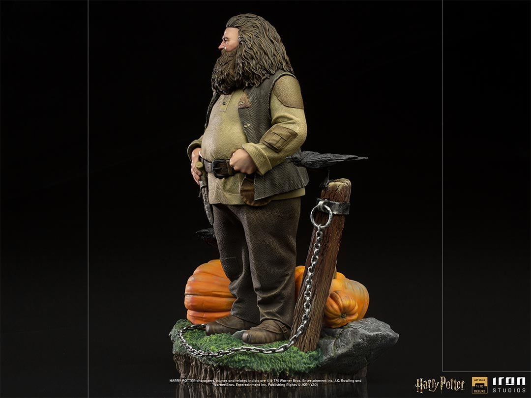 Hagrid - Harry Potter image 3