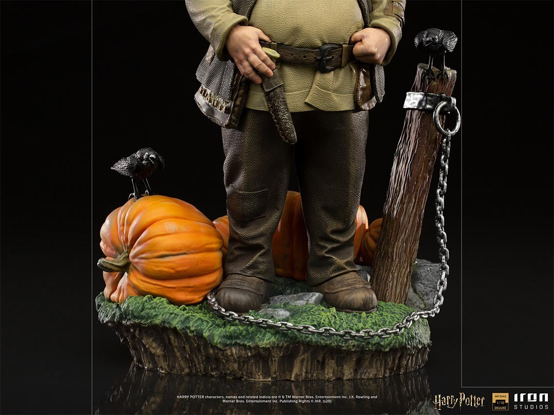 Hagrid - Harry Potter image 4