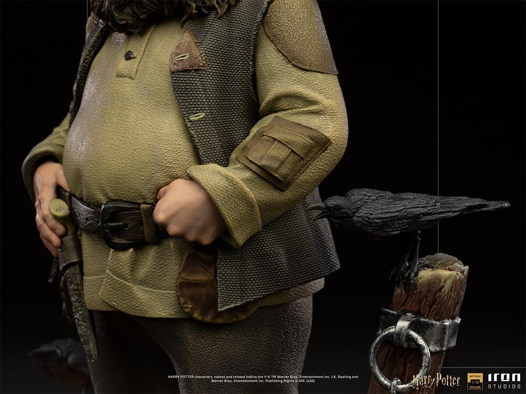 Hagrid - Harry Potter image 5