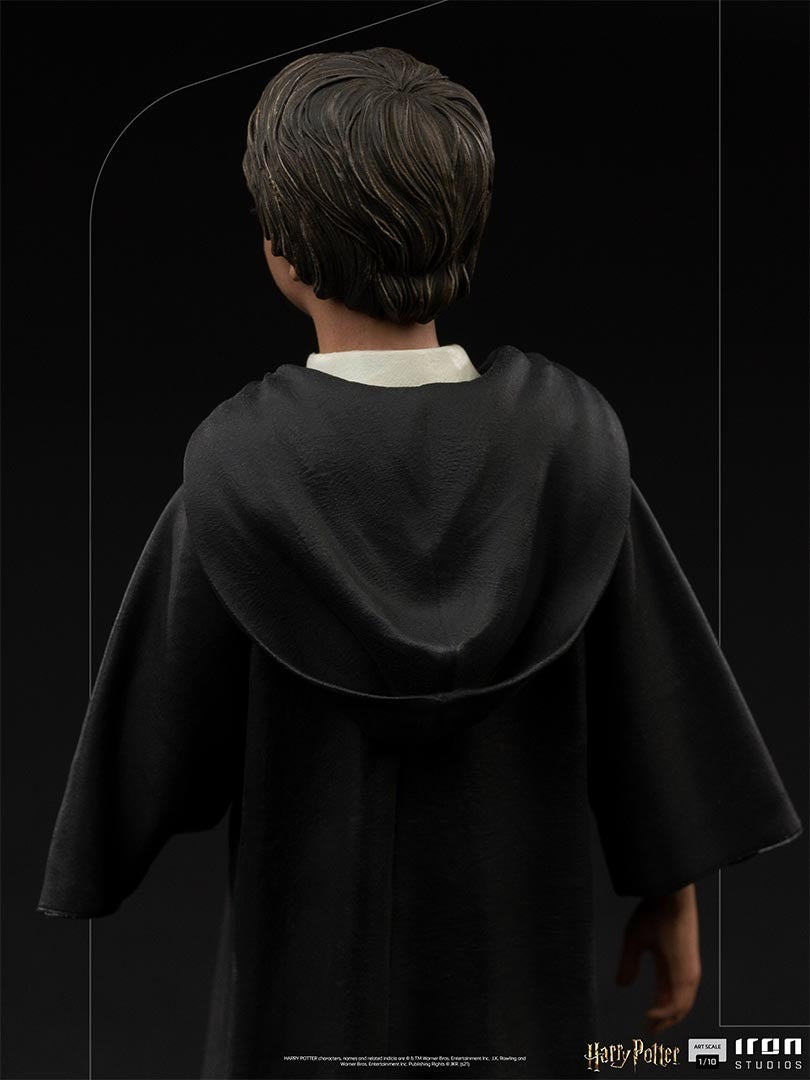 Harry Potter - Harry Potter image 6