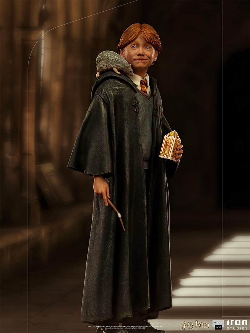 Ron Weasley - Harry Potter image 3